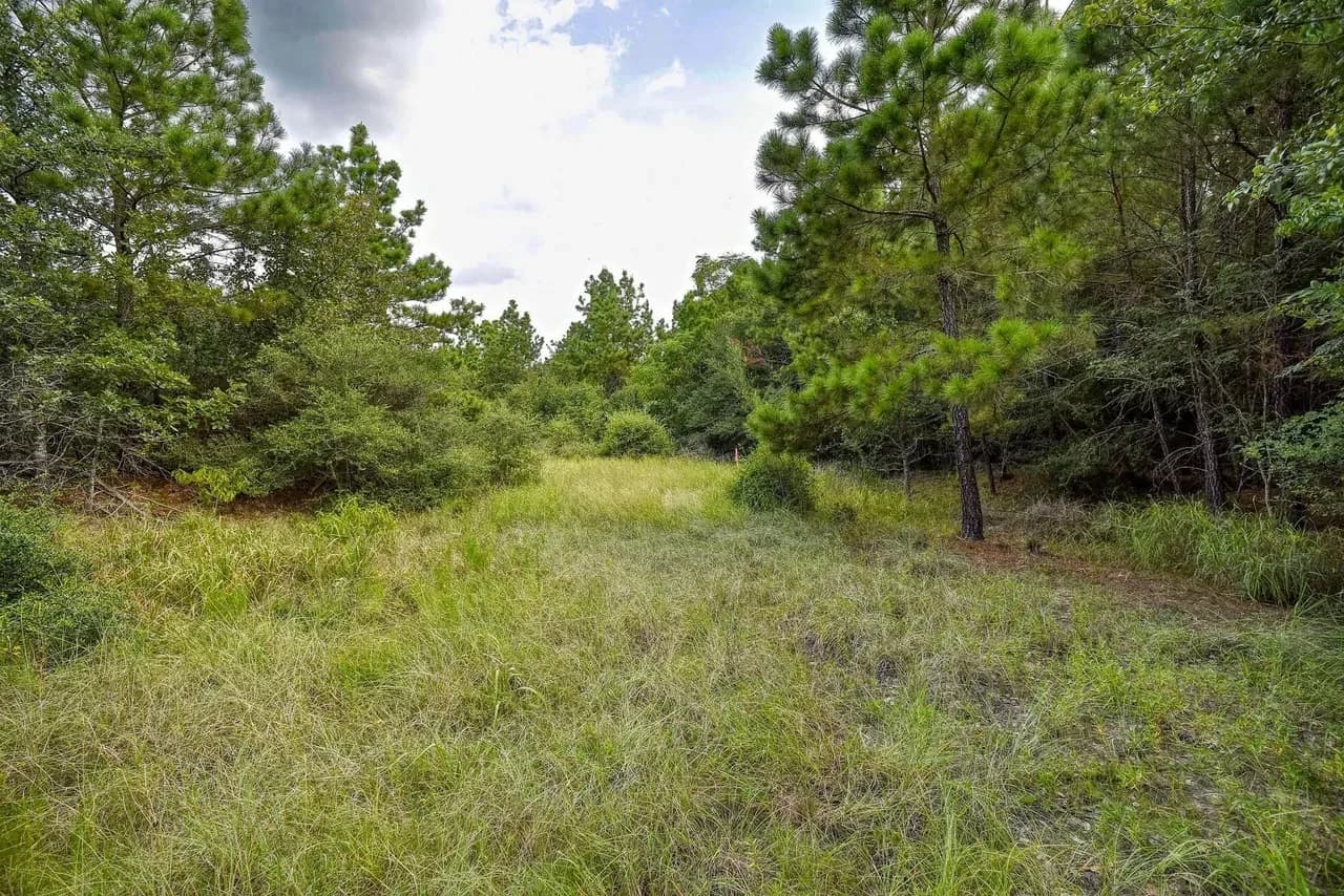 Almost 5 Acre Lot in Desirable Area Near Downtown Bastrop land photo 4