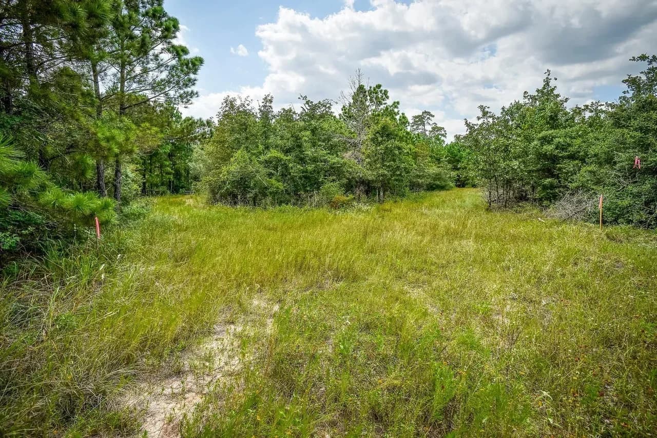 Almost 5 Acre Lot in Desirable Area Near Downtown Bastrop land photo 3